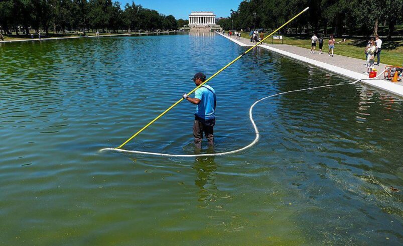 WATCH: Leftist Gets Caught Vandalizing Reflecting Pool, Faces a Decade in Prison
